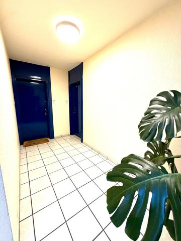 Appartement 3p à Lingolsheim