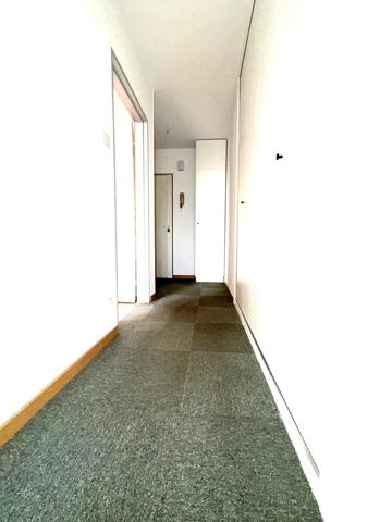 Appartement 3p à Lingolsheim