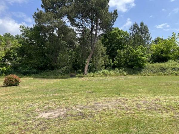 Terrain à vendre |  Rion-des-Landes |  800 m²