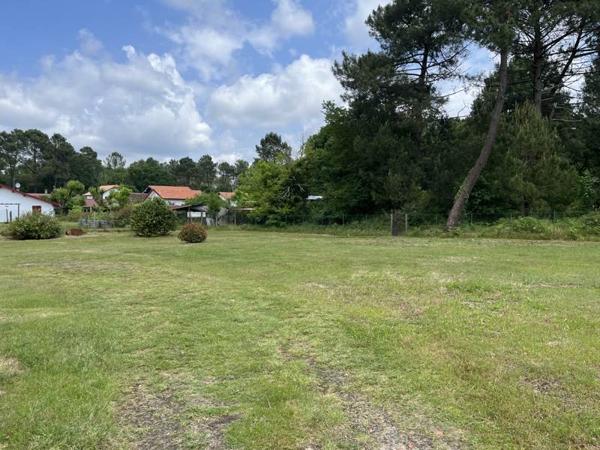 Terrain à vendre |  Rion-des-Landes |  800 m²
