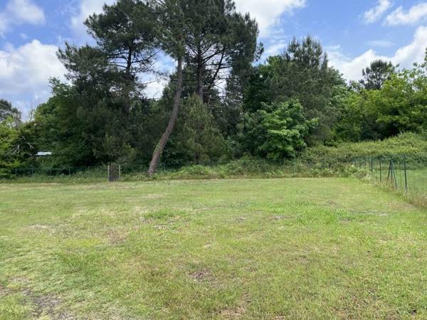 Terrain à vendre |  Rion-des-Landes |  800 m²