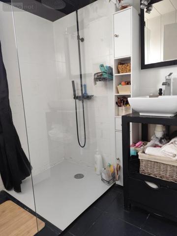 Maison à louer à Villemandeur dans le Loiret (45700), ref : 45052-L294