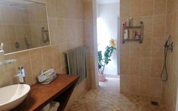 Maison à vendre    10 pièces •  Saint-Paul