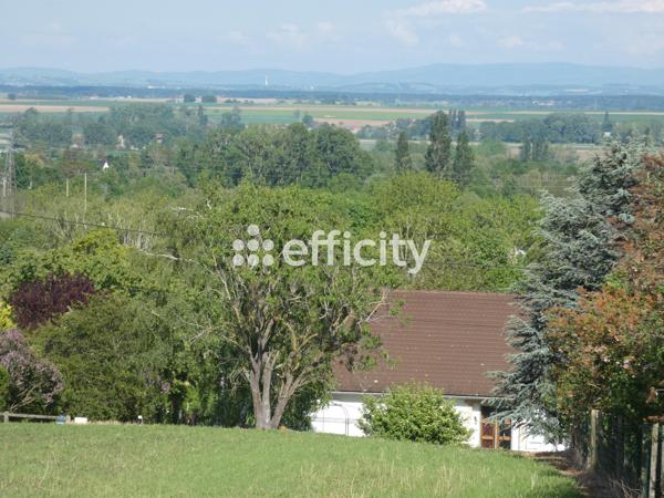 Terrain - 950 m²