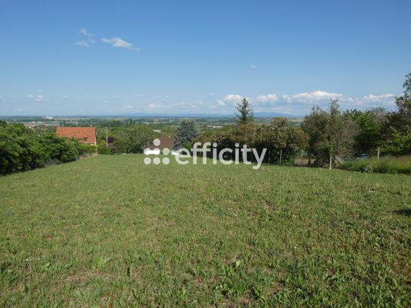 Terrain - 950 m²