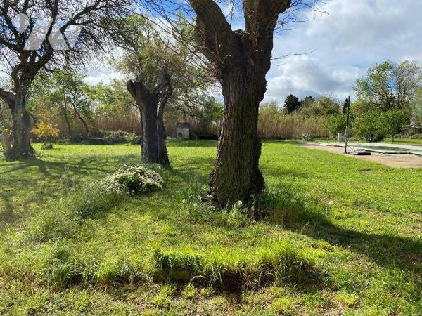 Mas à vendre sur la commune d' Arles (RAPHELE LES ARLES 13280) dans les Bouches-du-Rhône (13) :...