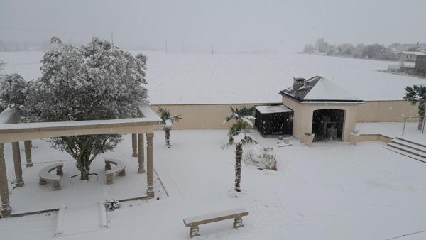 7p. 4 chambres. Parfait état. Plain-pied. Sous-sol total. Maisonnette indépendante. Jardin paysagé. Volumes