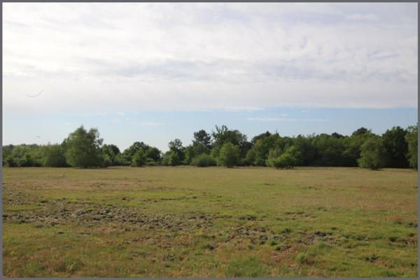Maison à AUBIGNE-RACAN, 72800 - 6 pièces 124m²