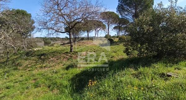 Terrain Vidauban +3000 m2