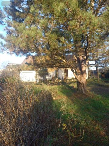 Pavillon à vendre à Voray-sur-l'Ognon en Haute-Saône (70190), ref : 25013-1091190