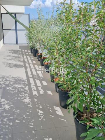 Appartement 4 pièces - 68 m² Exclusivité efficity