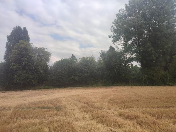 Terrain constructible sur Seraincourt