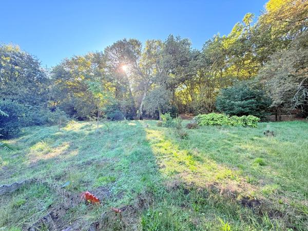 Maison centre ville 65 m², accès forêt, garage