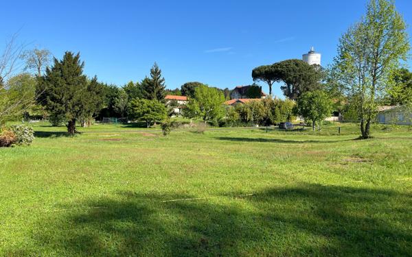 Maison à vendre    8 pièces •  Rion-des-Landes