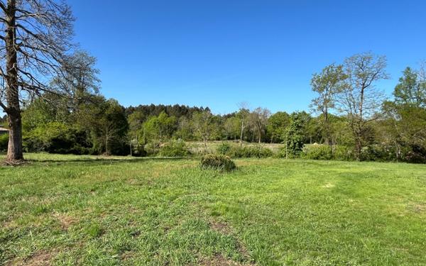 Maison à vendre    8 pièces •  Rion-des-Landes