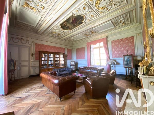 Maison à vendre 20 pièces 1 380 m² Châteaudouble