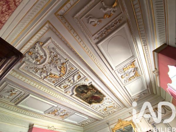 Maison à vendre 20 pièces 1 380 m² Châteaudouble