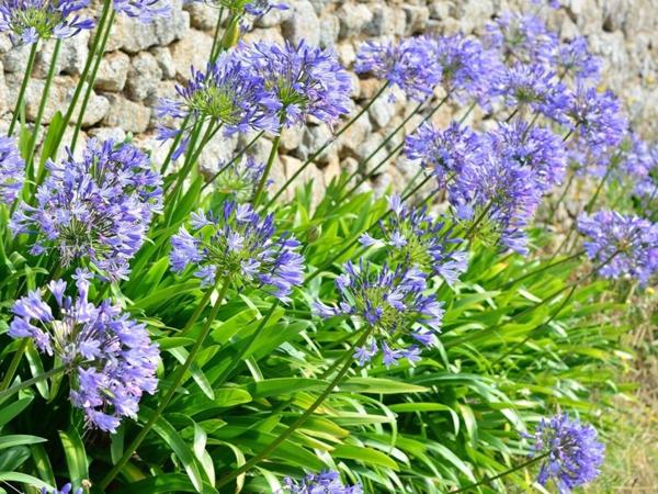 Maison à PLEUBIAN, 22610 - 5 pièces 200m²