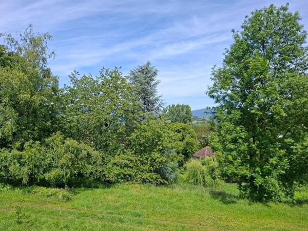 Propriété en Harmonie entre Nature et Élégance