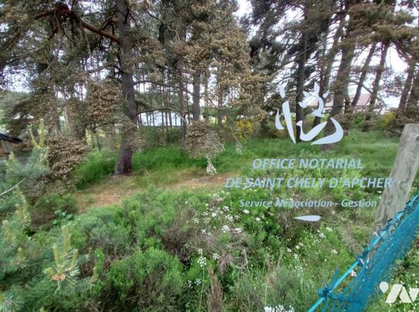 A VENDRE TERRAIN A BATIR  A SAINT CHELY D'APCHER