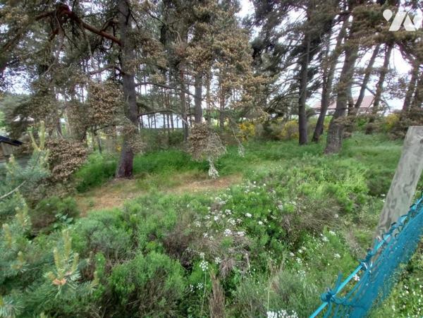 A VENDRE TERRAIN A BATIR  A SAINT CHELY D'APCHER