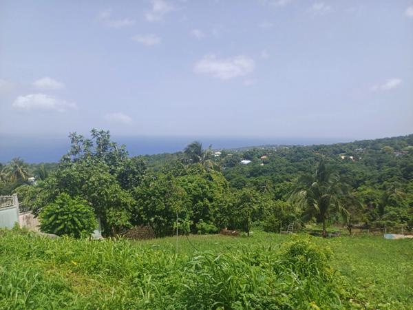 Terrain à vendre de 1 056,00 m² BAILLIF (971)