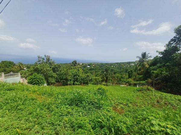 Terrain à vendre de 1 056,00 m² BAILLIF (971)