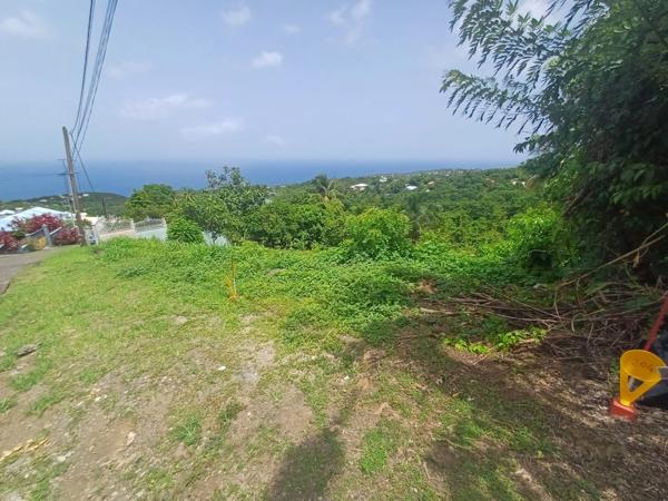 Terrain à vendre de 1 056,00 m² BAILLIF (971)
