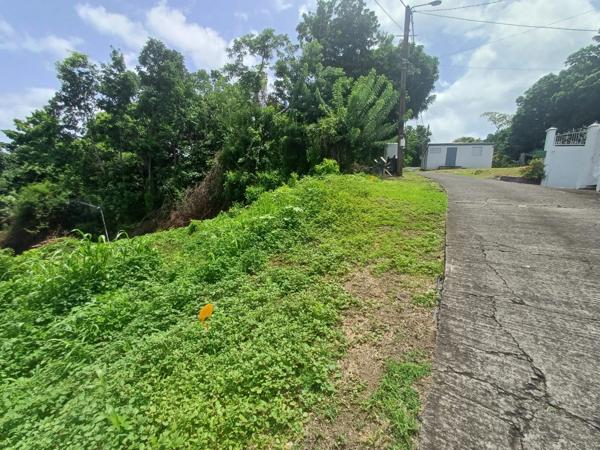 Terrain à vendre de 1 056,00 m² BAILLIF (971)