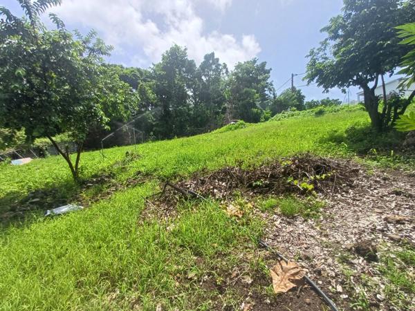 Terrain à vendre de 1 056,00 m² BAILLIF (971)