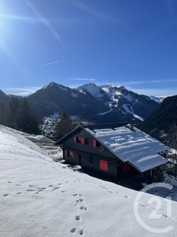 Appartement Studio Cabine à vendre  1 pièce - 18,42 m2 CHATEL - 74