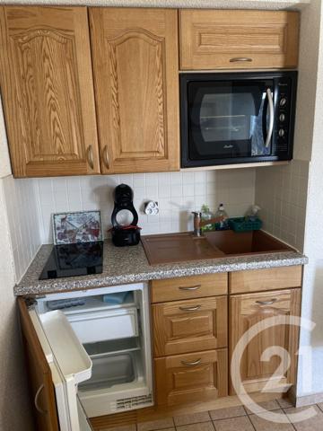 Appartement Studio Cabine à vendre  1 pièce - 18,42 m2 CHATEL - 74