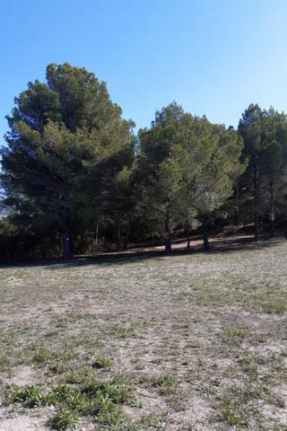 Terrain - 723 m² Exclusivité efficity