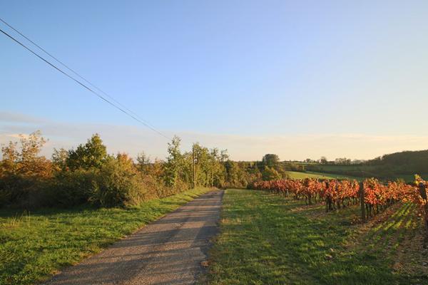 Terrain à bâtir