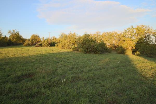 Terrain à bâtir