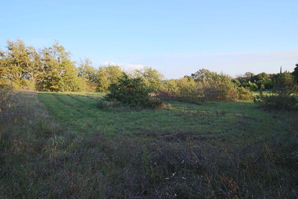 Terrain à bâtir