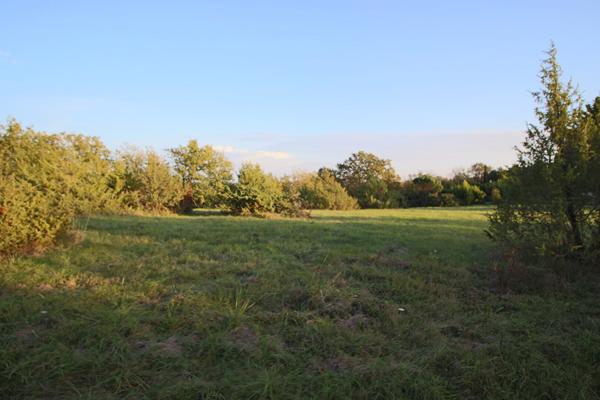 Terrain à bâtir
