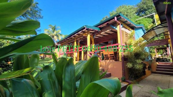 Vente / Maison et grand terrain à Bouillante (97125)