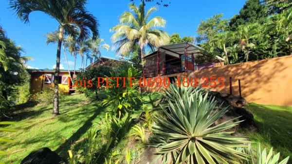 Vente / Maison et grand terrain à Bouillante (97125)