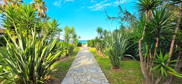 À vendre – Appartement T3 avec terrasse en bord de mer SAN NICOLAO (20230)