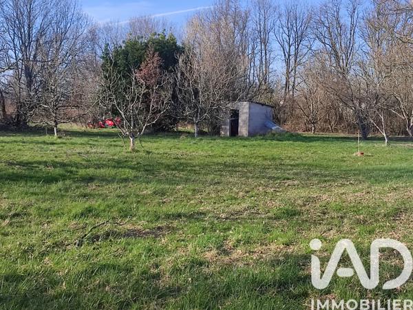 Terrain à vendre 2 300 m² Montdurausse