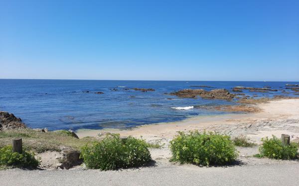 Appartement à vendre    2 pièces •  Le Croisic