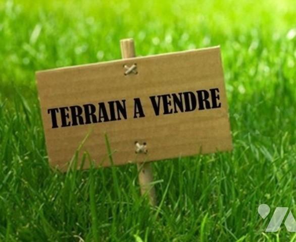 Terrain