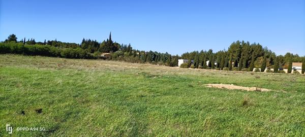 Ferrals-les-Corbières (11200) Ferrals-les-Corbières, beau terrain viabilisé 352 m2