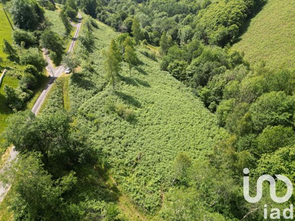 Terrain à vendre 1 402 m² Issor