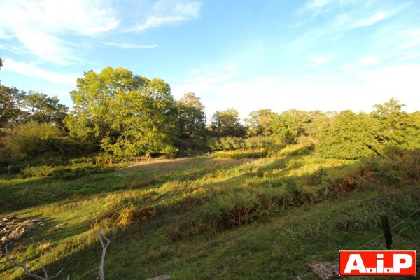 A 10 MIN DE MAULEON / AU CALME DE LA CAMPAGNE