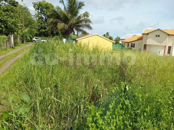 Terrain 605m 2 SAINTE-ROSE