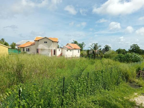 Terrain 605m 2 SAINTE-ROSE