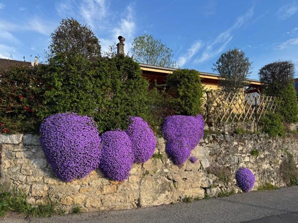 Magnifique maison de village rénovée T5 de 149 m² avec extérieur et vue sur les Alpes