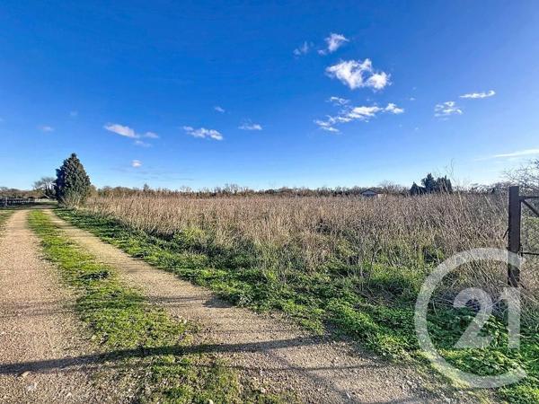 Terrain à vendre  14143 m2 VIAS - 34